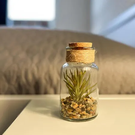 Suennslag 041 Lägenhet Boltenhagen (Ostseebad)